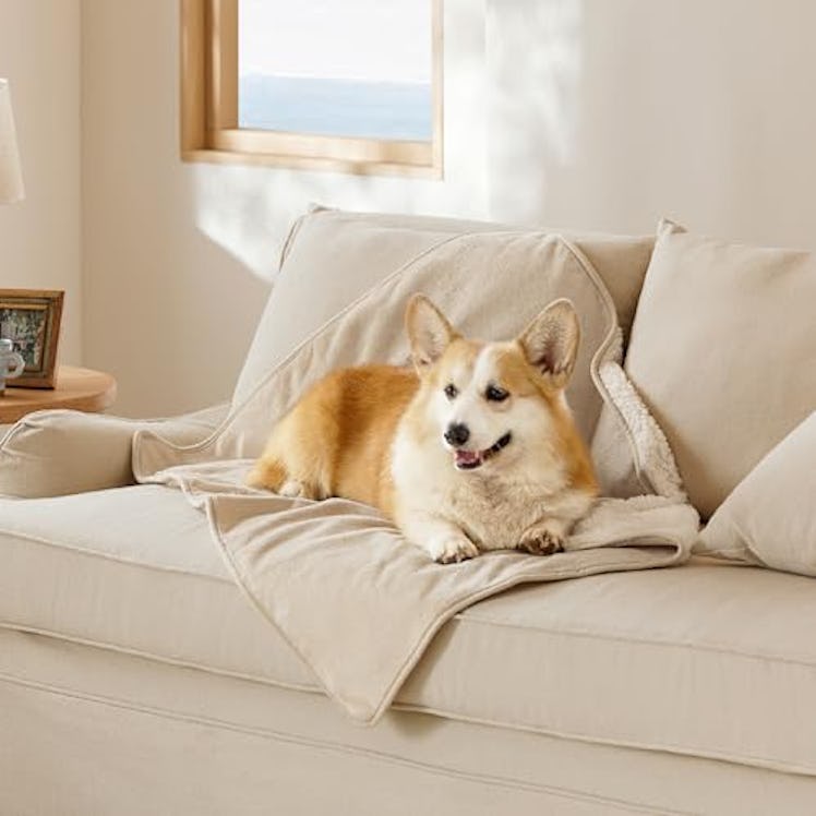 Bedsure Waterproof Pet Blanket
