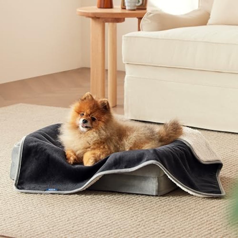 Bedsure Reversible Waterproof Pet Blanket