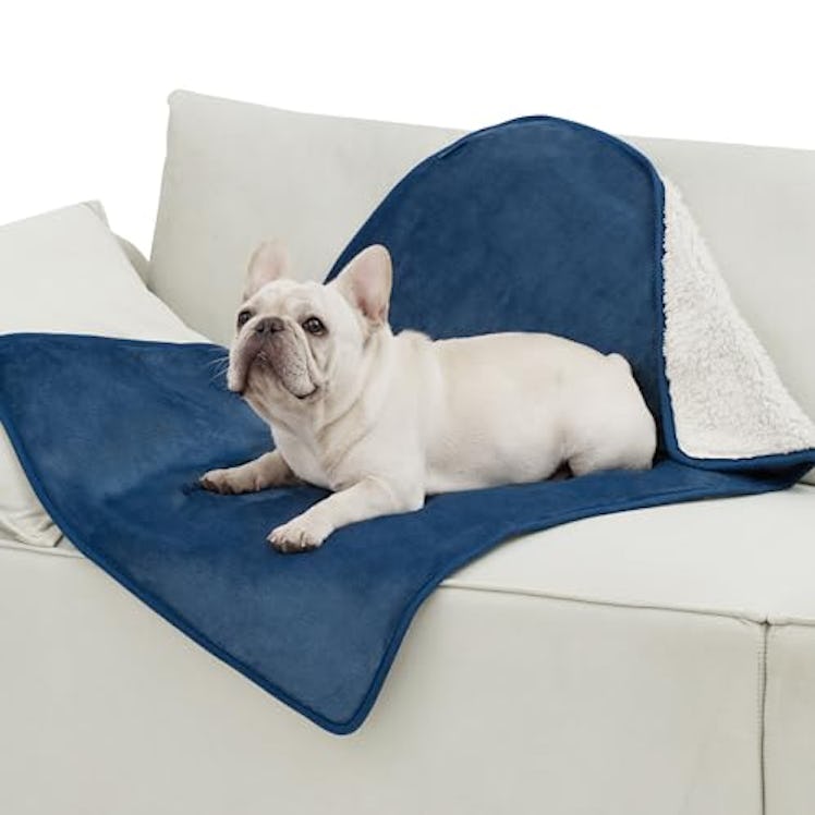 Bedsure Sherpa Fleece Pet Blanket