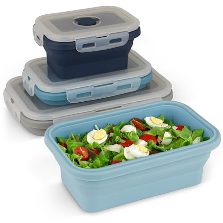 Spacesaver Collapsible Food Storage Containers (4-Pack)