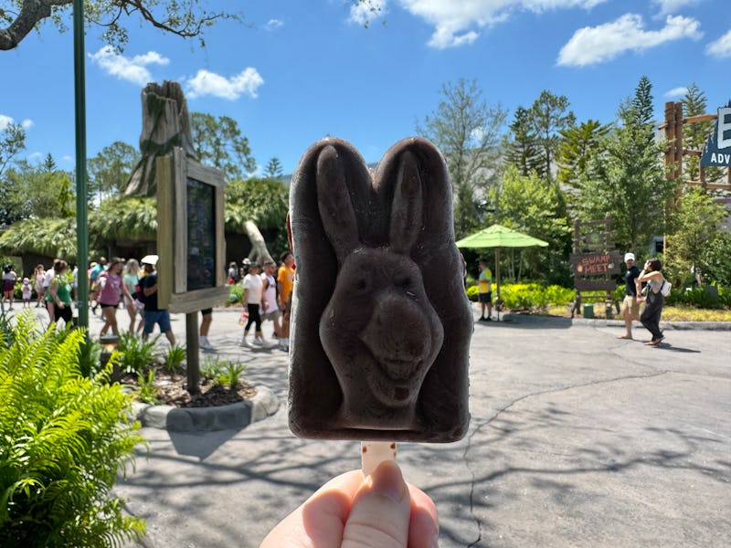 I tried the Donkey popsicle from the 'Shrek' area of DreamWorks Land. 
