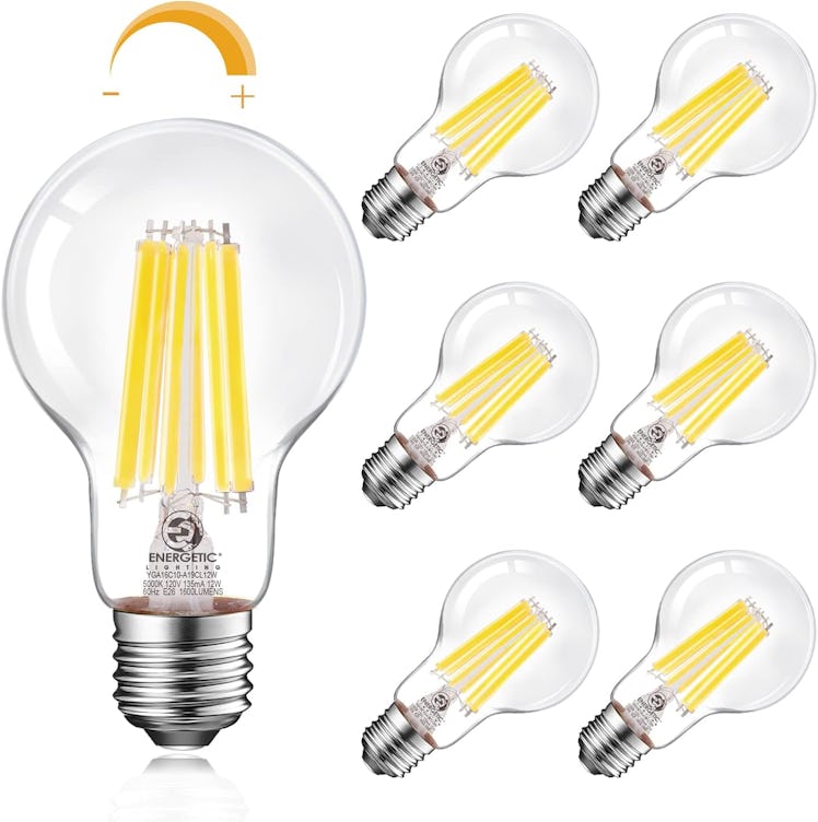 Energetic Dimmable A19 LED Edison Light Bulb (6-Pack)