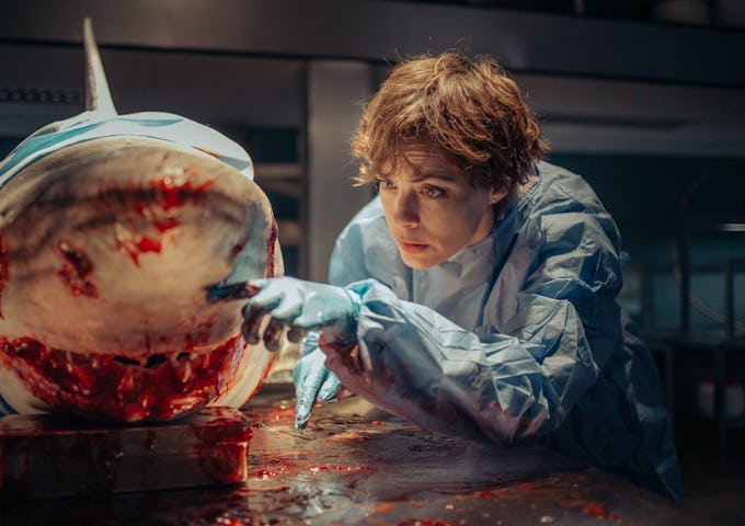 A young scientist in a lab coat examines a large, faux shark model, focusing intently on its open, bloody mouth.