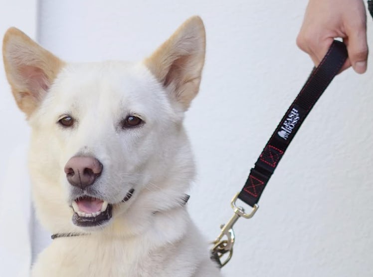 Leashboss Traffic Handler Leash