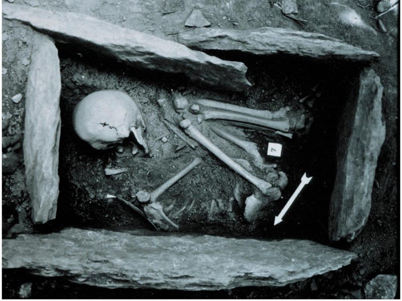 An archaeological dig site showing human skeletal remains in a stone-lined grave, with a clearly vis...