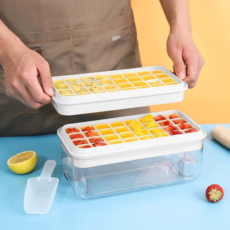 Phinox Ice Cube Tray with Lid and Bin