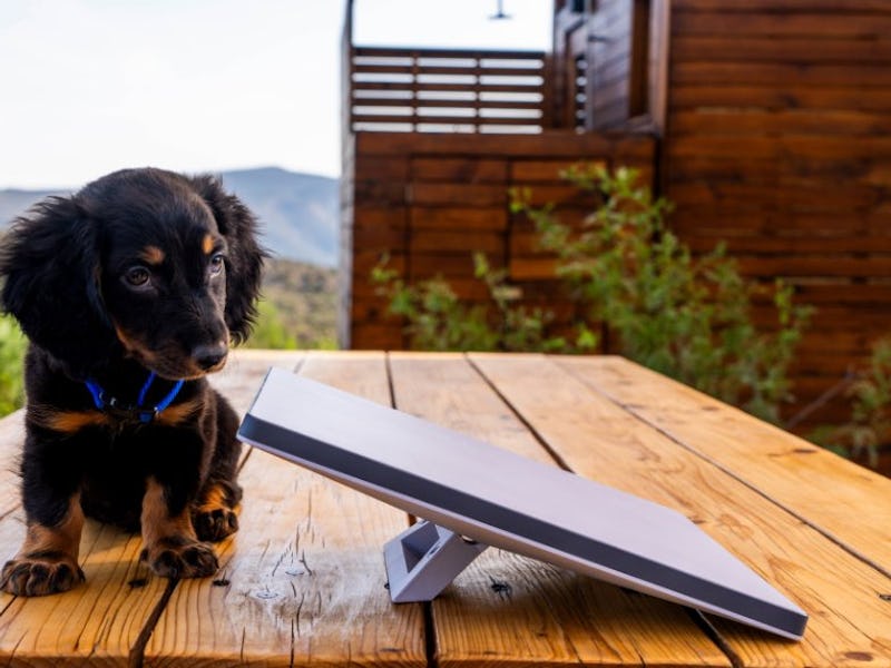 SpaceX's Starlink Mini Kit