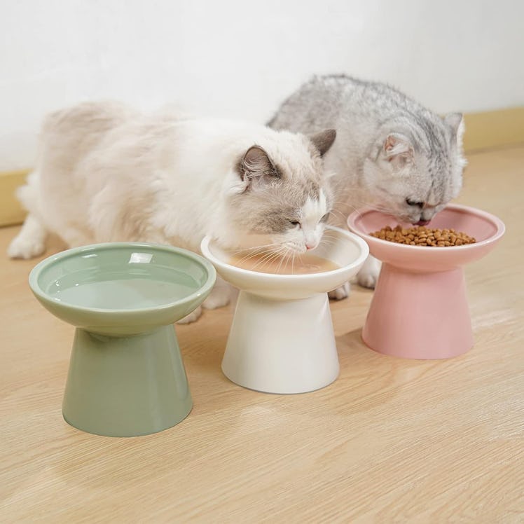 Ceefu Raised Cat Bowl