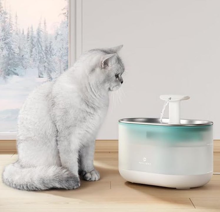 PETLIBRO Stainless Steel Cat Water Fountain