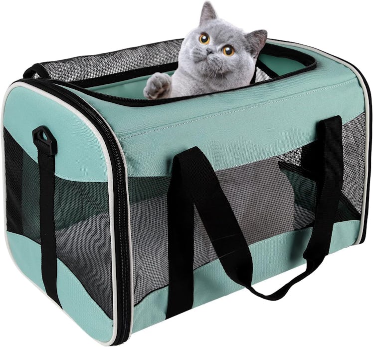 Top tasta Cat Carrier with Top Entry