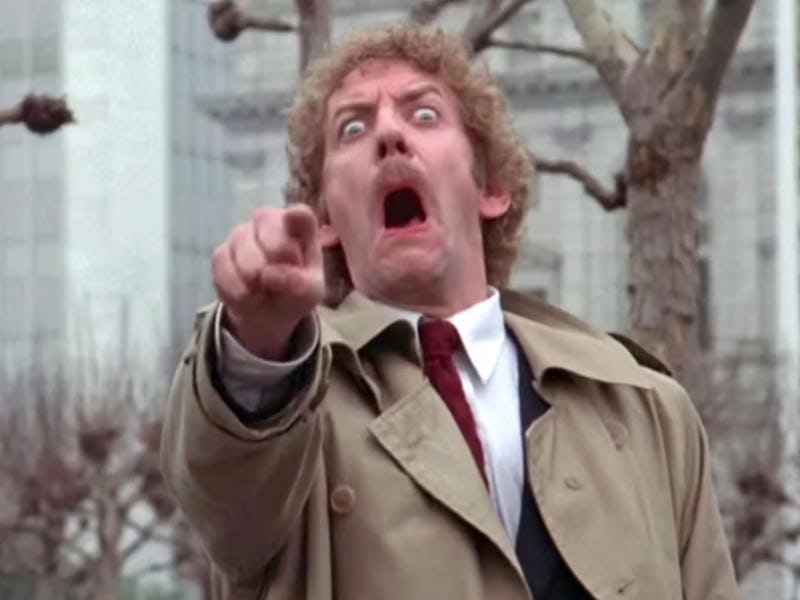 Donald Sutherland in the ending of 'Invasion of the Body Snatchers.'