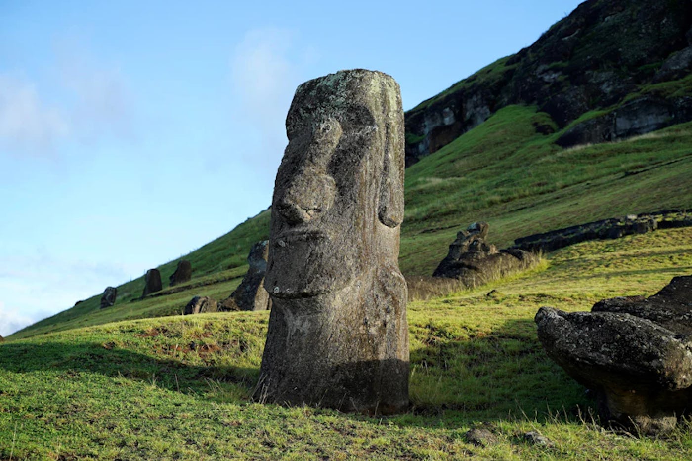 Moai statue on the grassy slopes of Rano Raraku, Easter Island, with others scattered in the background.