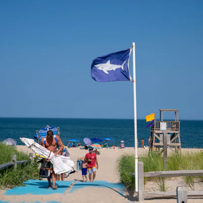 A flag with a shark warning flies as beachgoers depart July 26, 2023 at Nauset Beach in Orleans Massachusetts. With the seal population increasing along Cape Cod, shark sitings have become more common on the beaches as sharks hunt their primary food source.
