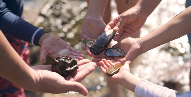 Explore Ritz Kids programming designed to introduce young guests to the natural wonders of the ocean
