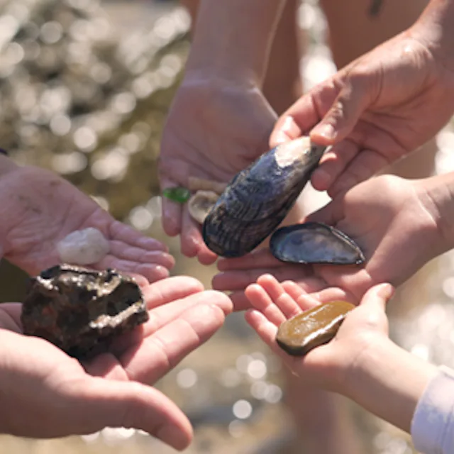 Explore Ritz Kids programming designed to introduce young guests to the natural wonders of the ocean