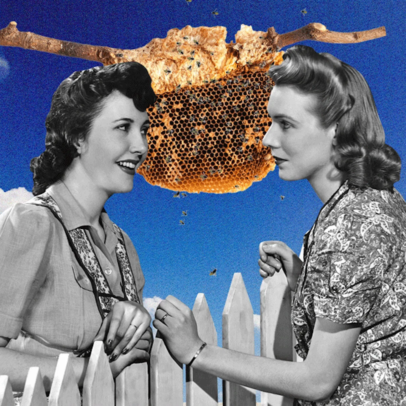 Neighbor Etiquette: Who Pays For An Issue That Affects You Both?