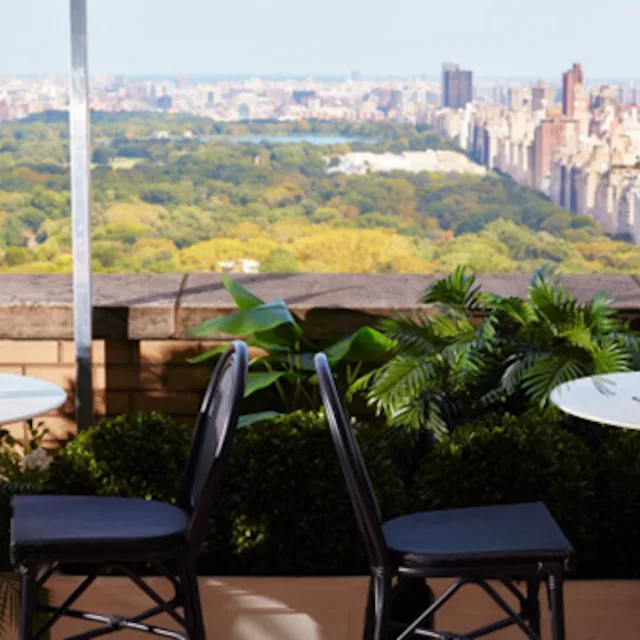 Explore exclusive dining for hotel guests at rooftop bar and restaurant Darling during daytime hours