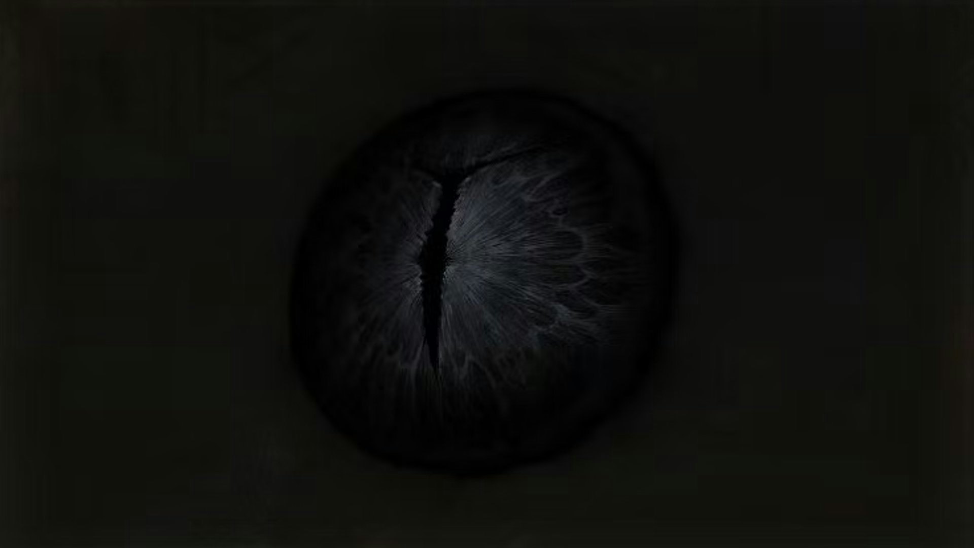 Where to Find 'Elden Ring's Rare and Important Iris of Occultation Item