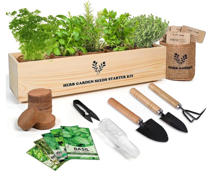 Meekear Indoor Herb Grow Kit