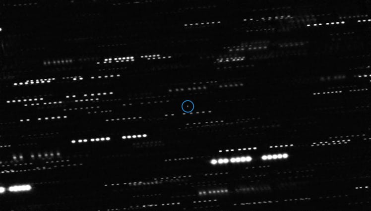 A single dot in a sea of ​​spots is the distant 'Oumuamua object, the first known interstellar object.