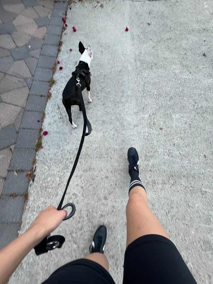 Nailea Devora tracks her steps while taking her dog for a walk. 
