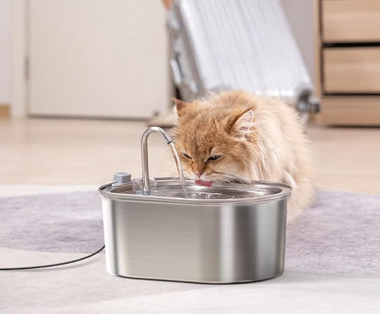 SOOFPET Cat Water Fountain