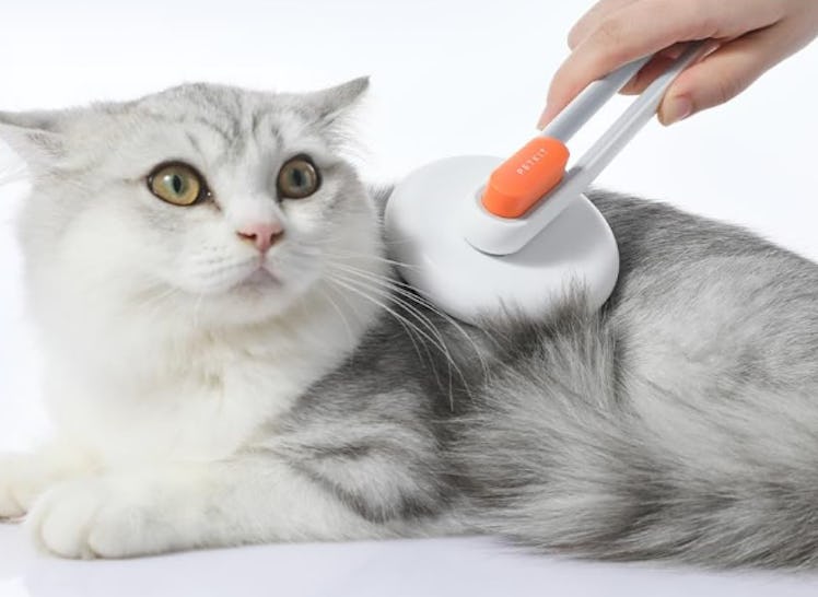 PETKIT Cat & Dog De-Shedding Brush