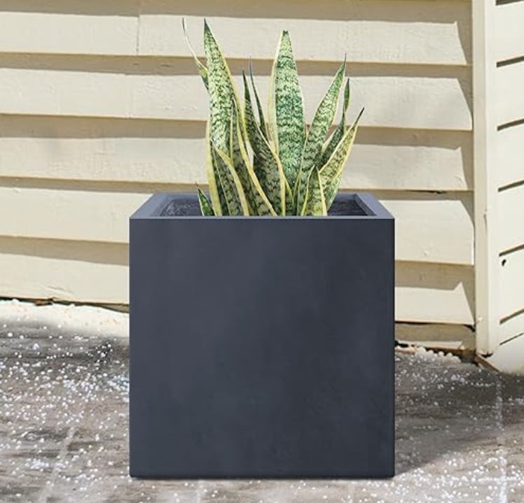 Kante Concrete Planter