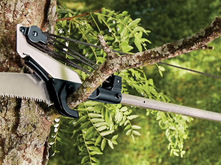 Fiskars Extendable Pole Saw and Tree Pruner