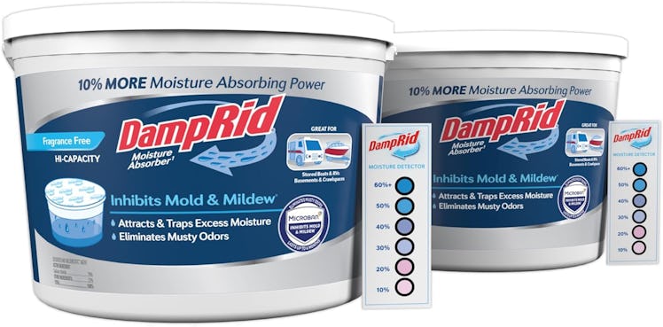 DampRid Moisture Absorber Bucket Moisture Detection Strip (2-Pack)
