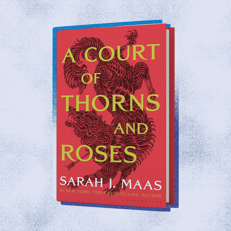 Obsessed With Fourth Wing? Add These Romantasy Novels to Your TBR Pile ASAP