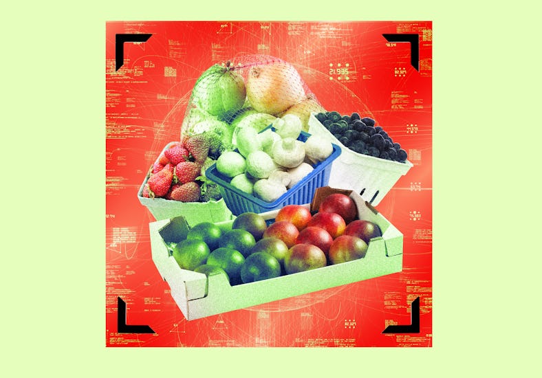 Assorted fresh fruits including apples, berries, and melons displayed in containers against a vibran...