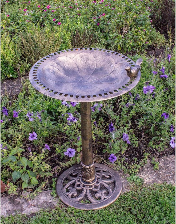 BACKYARD EXPRESSIONS Bird Bath