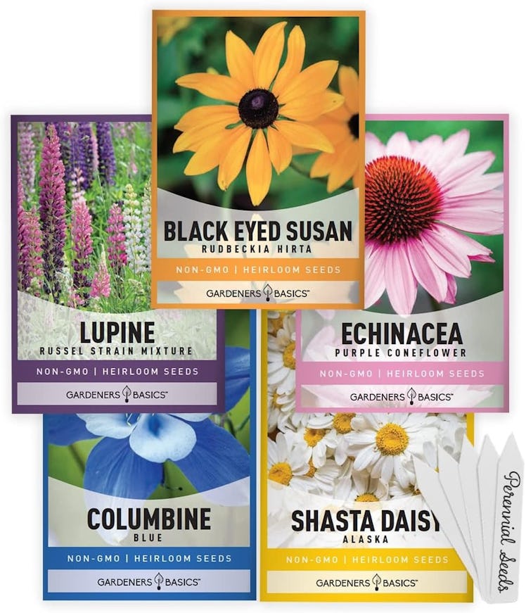 Gardeners Basics Perennial Flower Seeds (5-Pack)