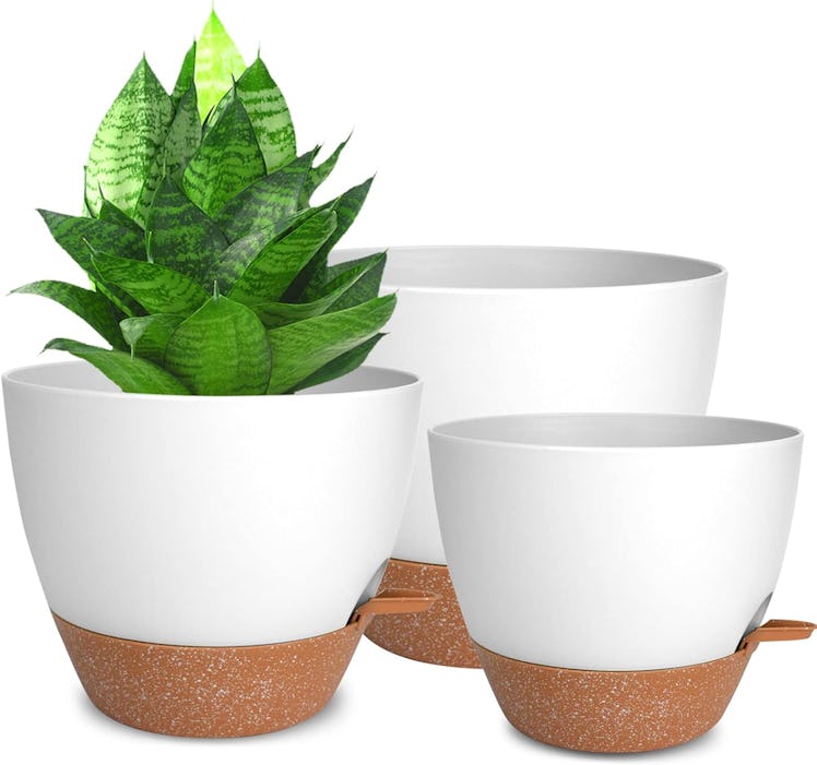 Vanslogreen Self-Watering Plant Pots (Set of 3)