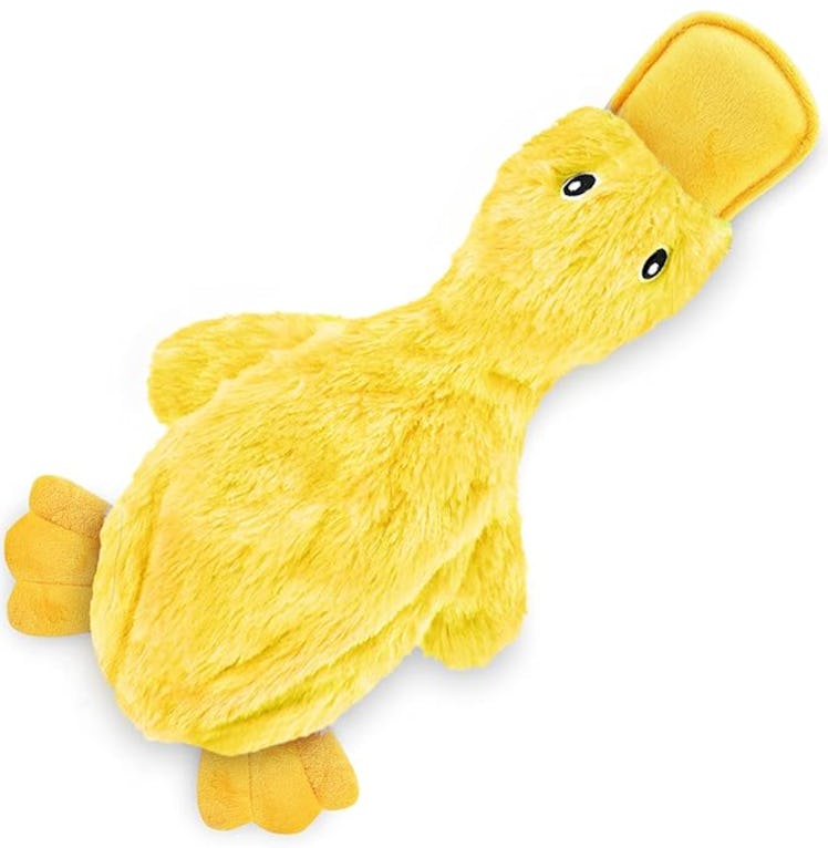 Best Pet Supplies No-Stuffing Crinkle Dog Toy 