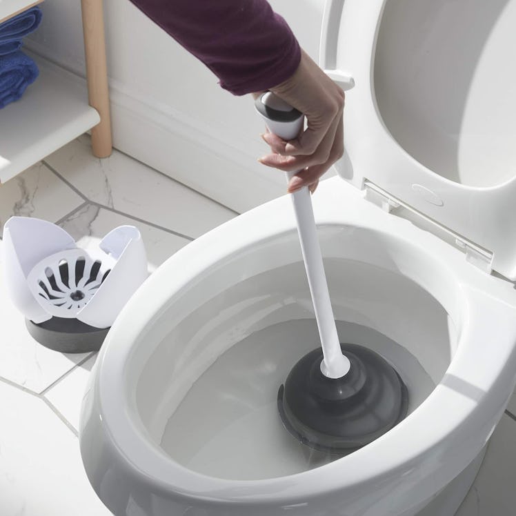 Clorox Plunger and Caddy
