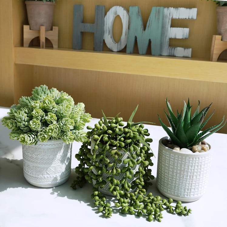 Winlyn Potted Faux Succulents (Set of 3)