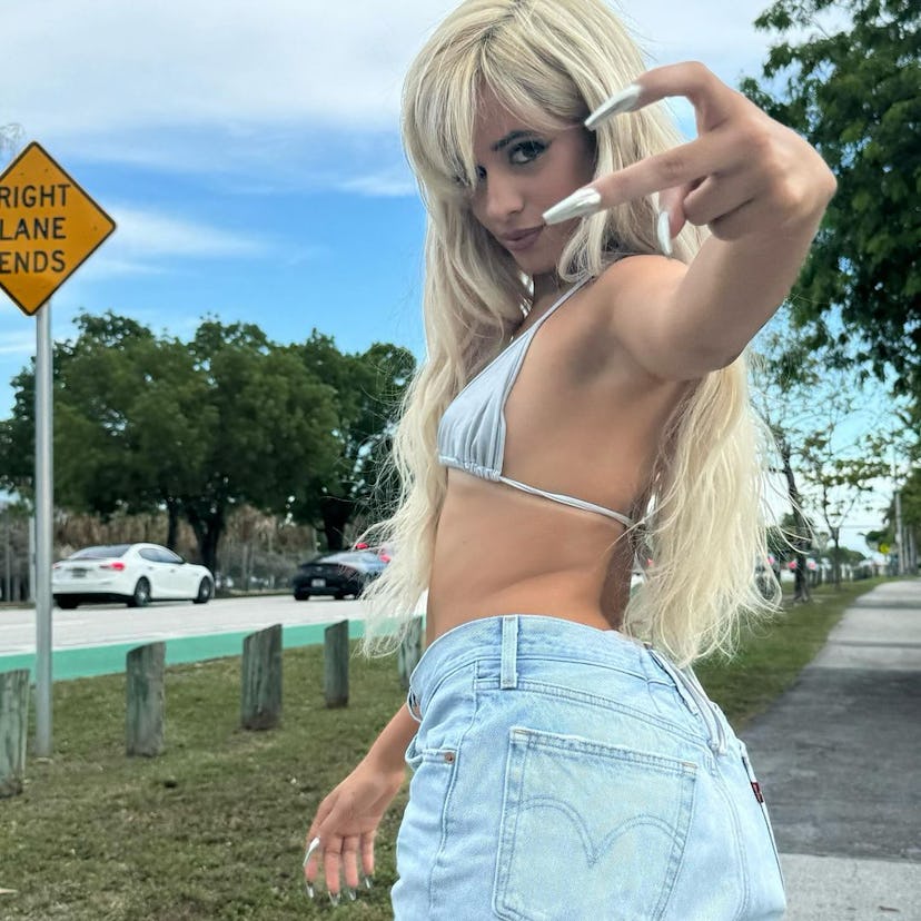 Camila cabello silver bikini