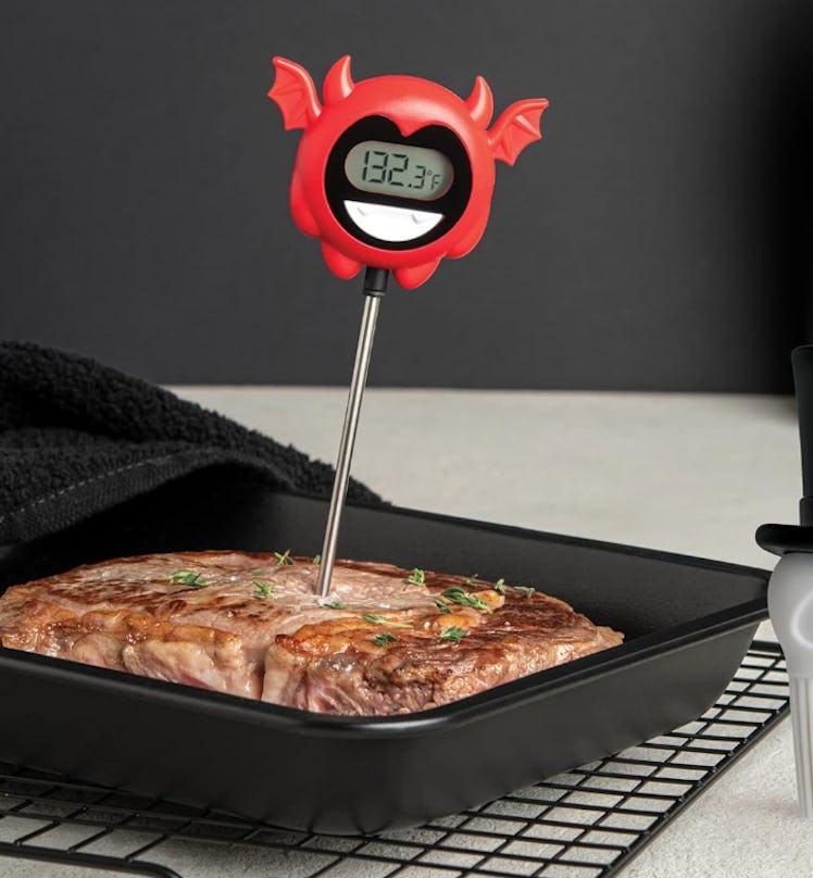 OTOTO Hell Done Meat Digital Thermometer