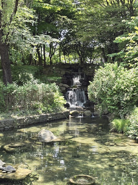 A small waterfall and pond in Seoul Forest
