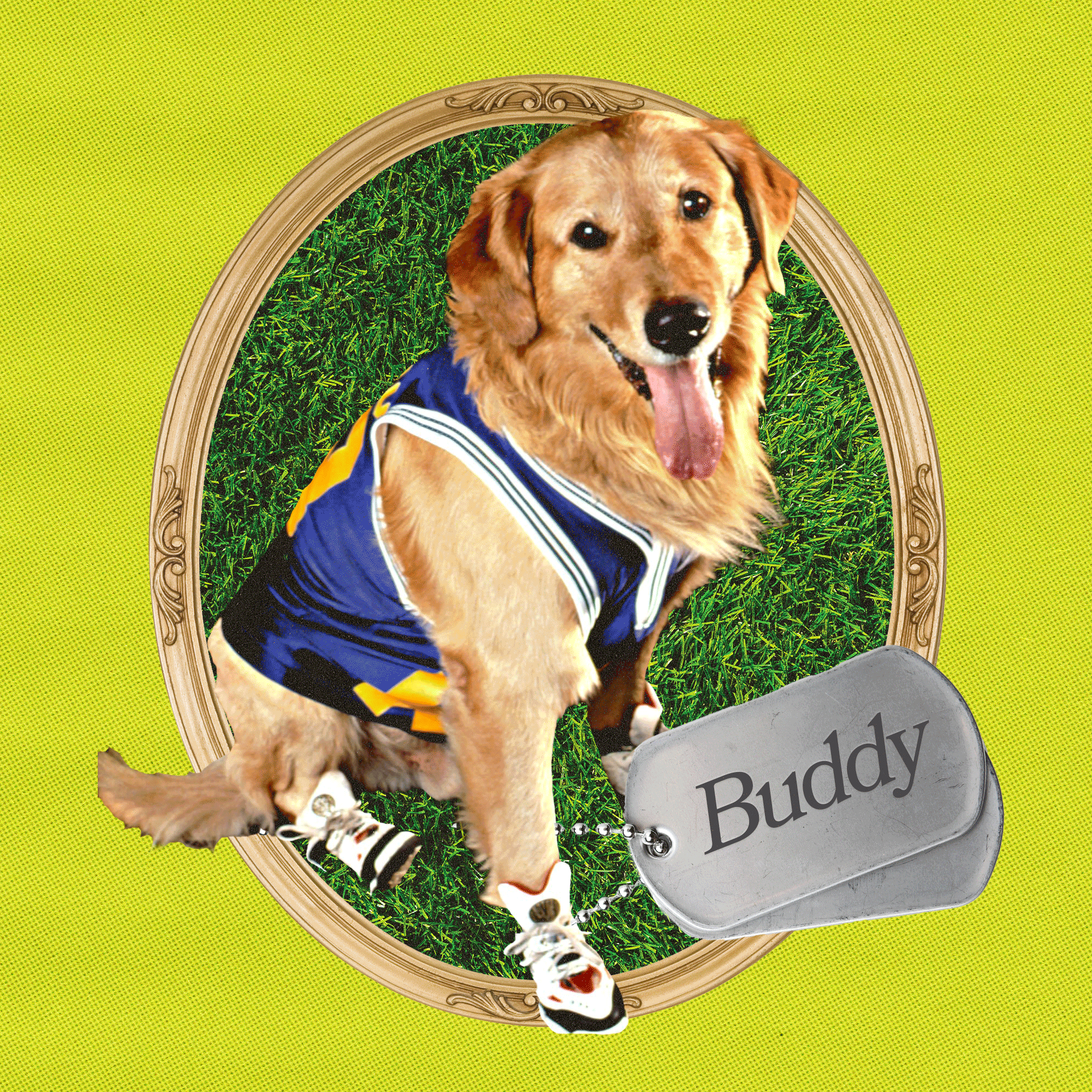 135 Dog Names Inspired By Everyone’s Favorite Onscreen Canines