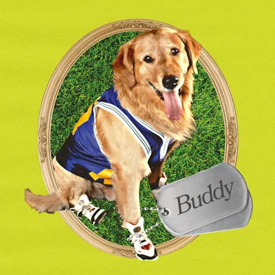 135 Dog Names Inspired By Everyone's Favorite Onscreen Canines