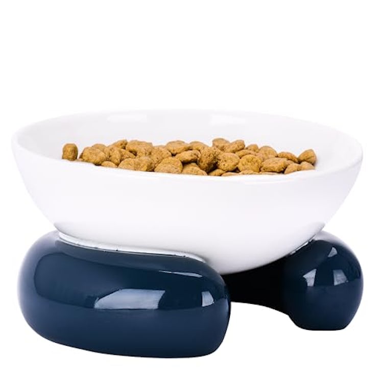 DDOXX Elevated Ceramic Pet Bowl for Cats and Dogs