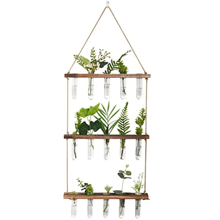 Window Garden Wall Hanging Plant Propagation Station