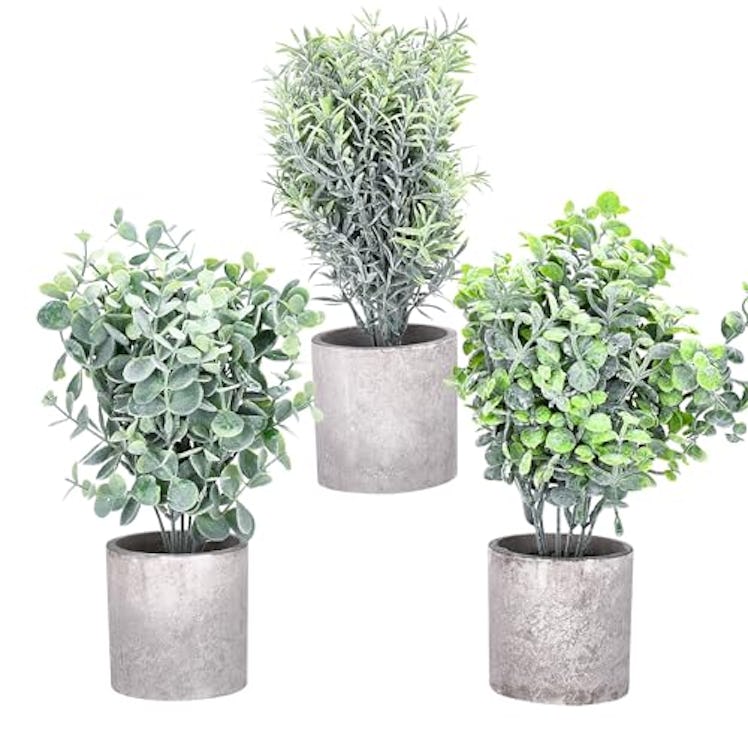 flybold Mini Fake Plants (Set of 3)