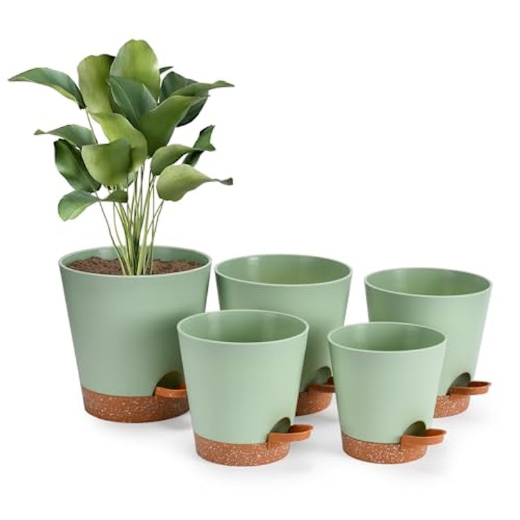 Hallops Self-Watering Planter (Set Of 5)