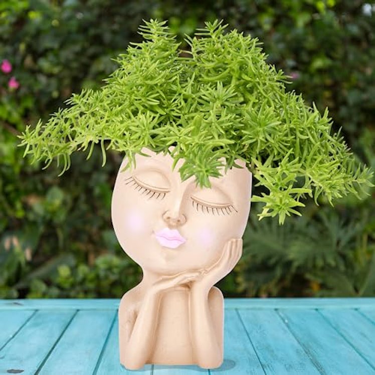 Noa Store Face Planter