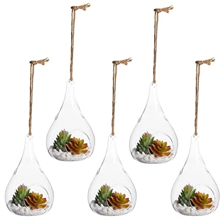 Juvale Hanging Glass Terrariums (5-Pack)