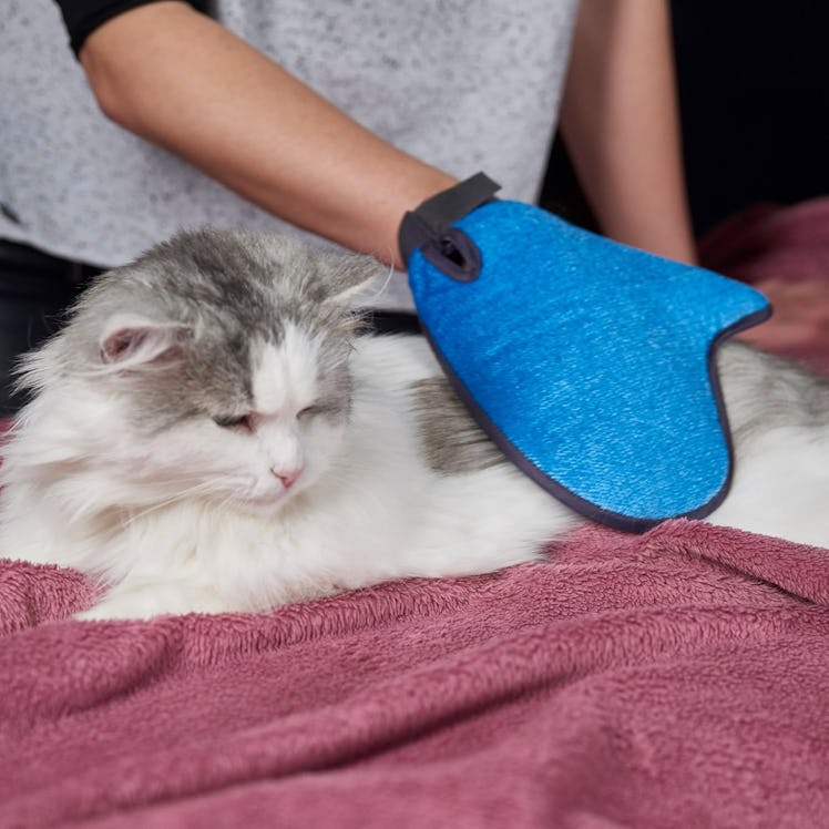 Pat Your Pet 2-in-1 Grooming Pet Glove